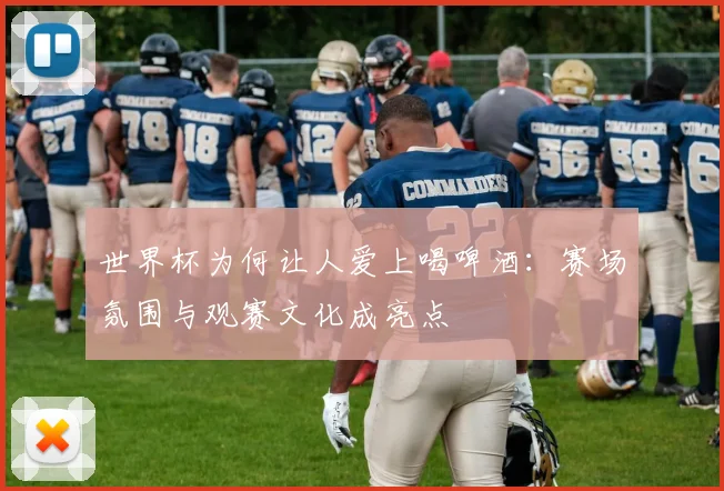 世界杯为何让人爱上喝啤酒：赛场氛围与观赛文化成亮点