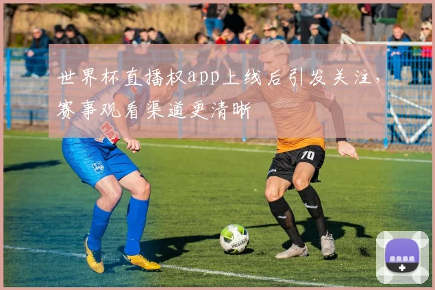 世界杯直播权app上线后引发关注，赛事观看渠道更清晰