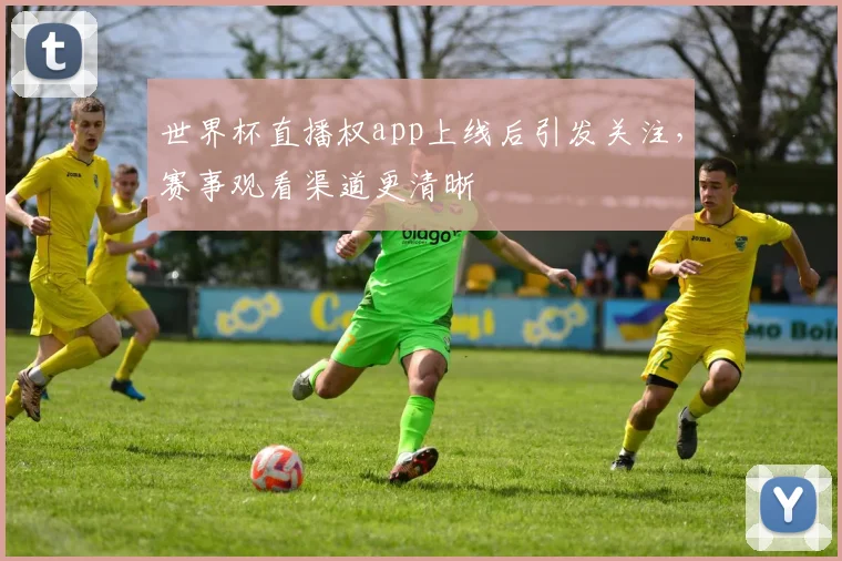 世界杯直播权app上线后引发关注，赛事观看渠道更清晰